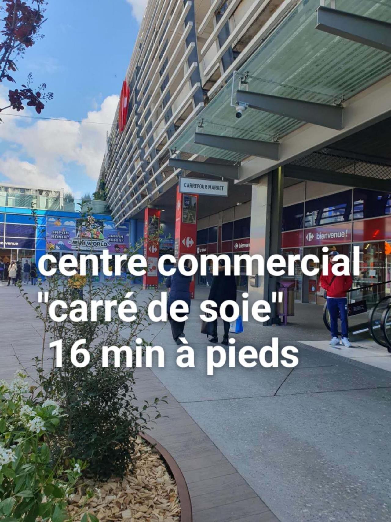 Medipole T2 Avec Un Garage Gratuit Sur Place, 16Min A Centre Ville Lyon En Metro A Вильорбан Екстериор снимка